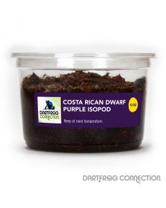 Costa Rican Dwarf Purple Isopods 12 oz