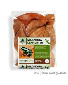 DFC Magnolia Leaf Litter 4 qt