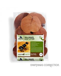 DFC Sea Grape Leaf Litter4 qt