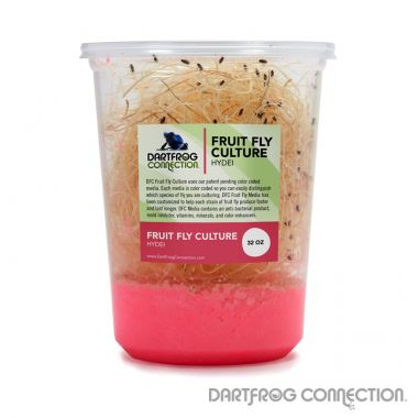 DFC Hydei Fruit Fly Culture