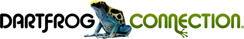 Dartfrog Connection